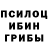 Псилоцибиновые грибы GOLDEN TEACHER Vmt24 Token