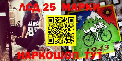 амф Заволжье