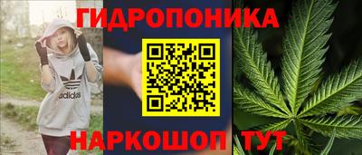 эйфоретик Заводоуковск