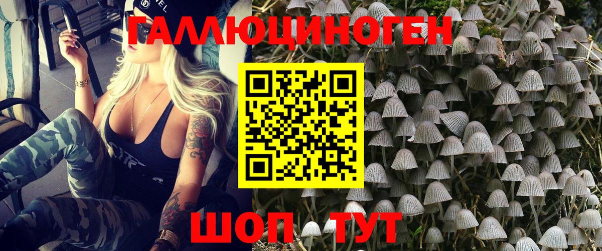 Псилоцибиновые грибы Cubensis  Вход с VPN  Муравленко 