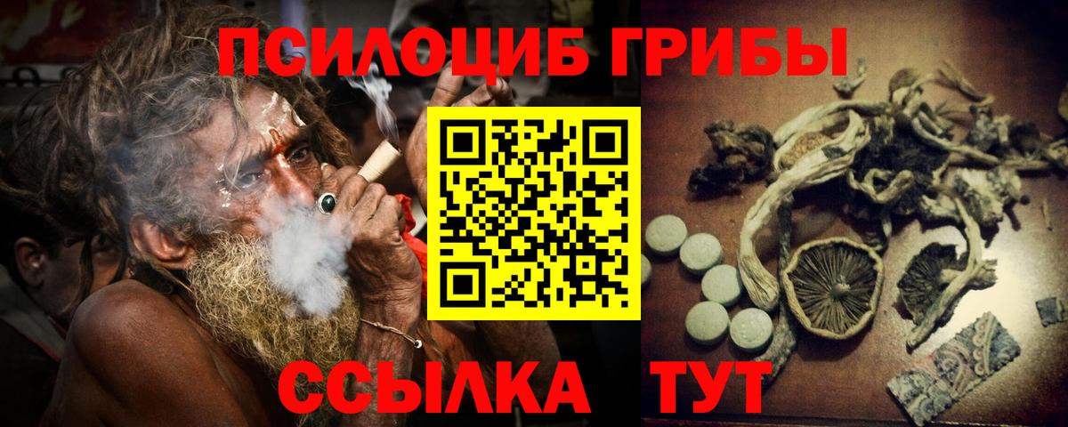 Псилоцибиновые грибы Cubensis Муравленко
