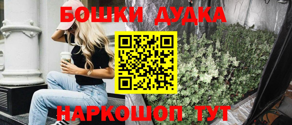 Каннабис OG Kush Муравленко